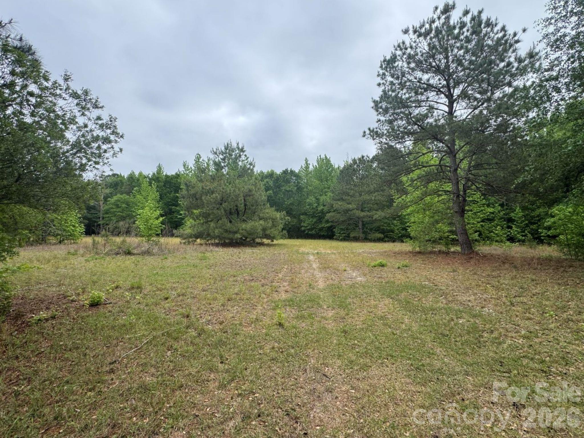 0 Daniel Chapel Road McColl, SC 29570 - Photo 13 of 34 Gallery Image 13