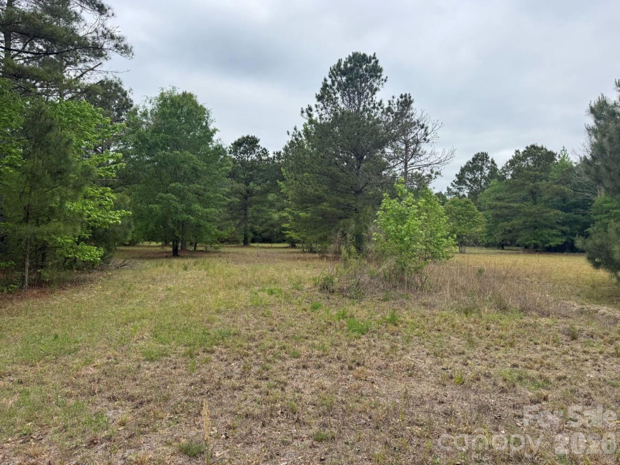 0 Daniel Chapel Road McColl, SC 29570 - Photo 14 of 34 Gallery Image 14
