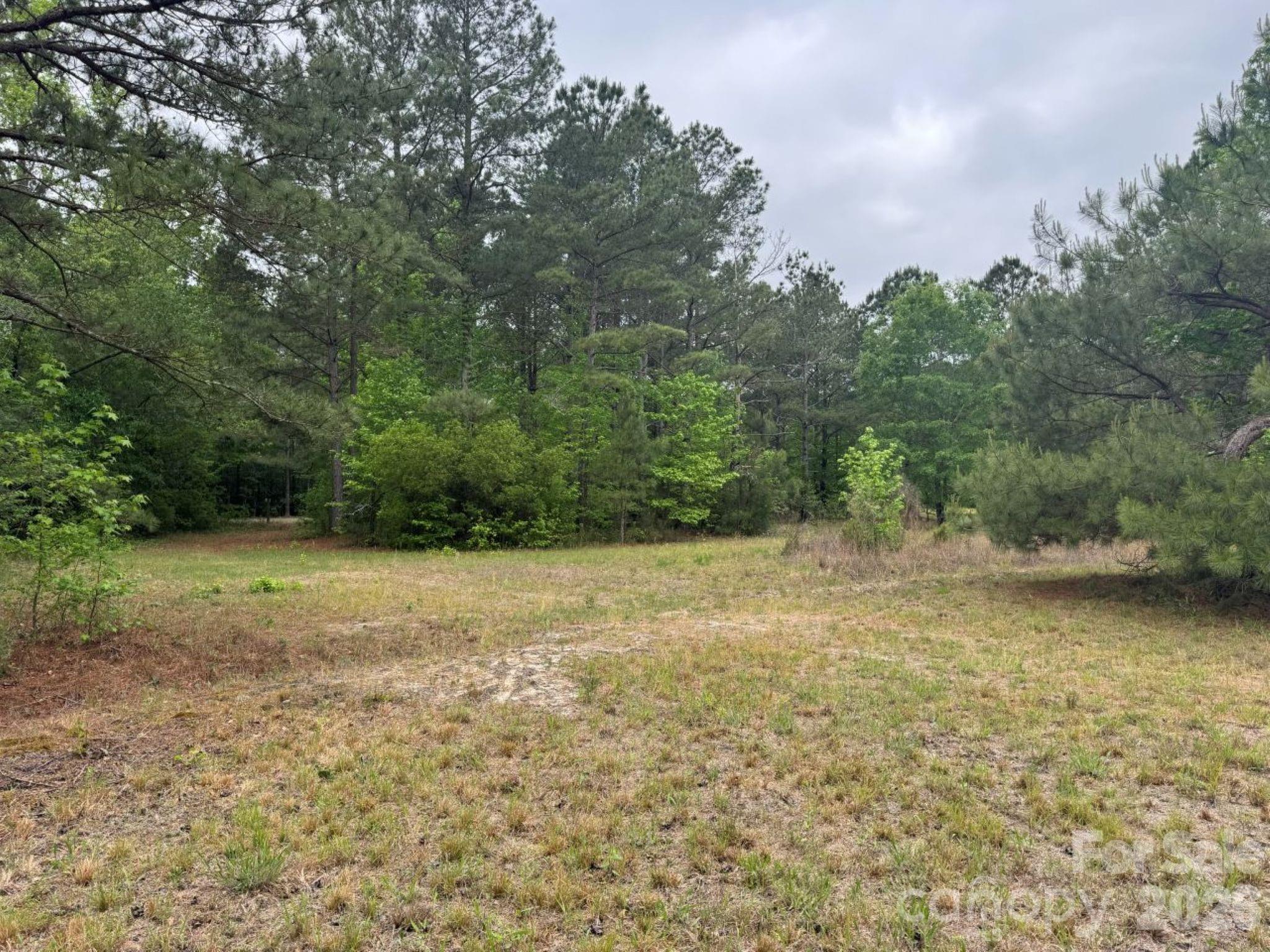 0 Daniel Chapel Road McColl, SC 29570 - Photo 15 of 34 Gallery Image 15