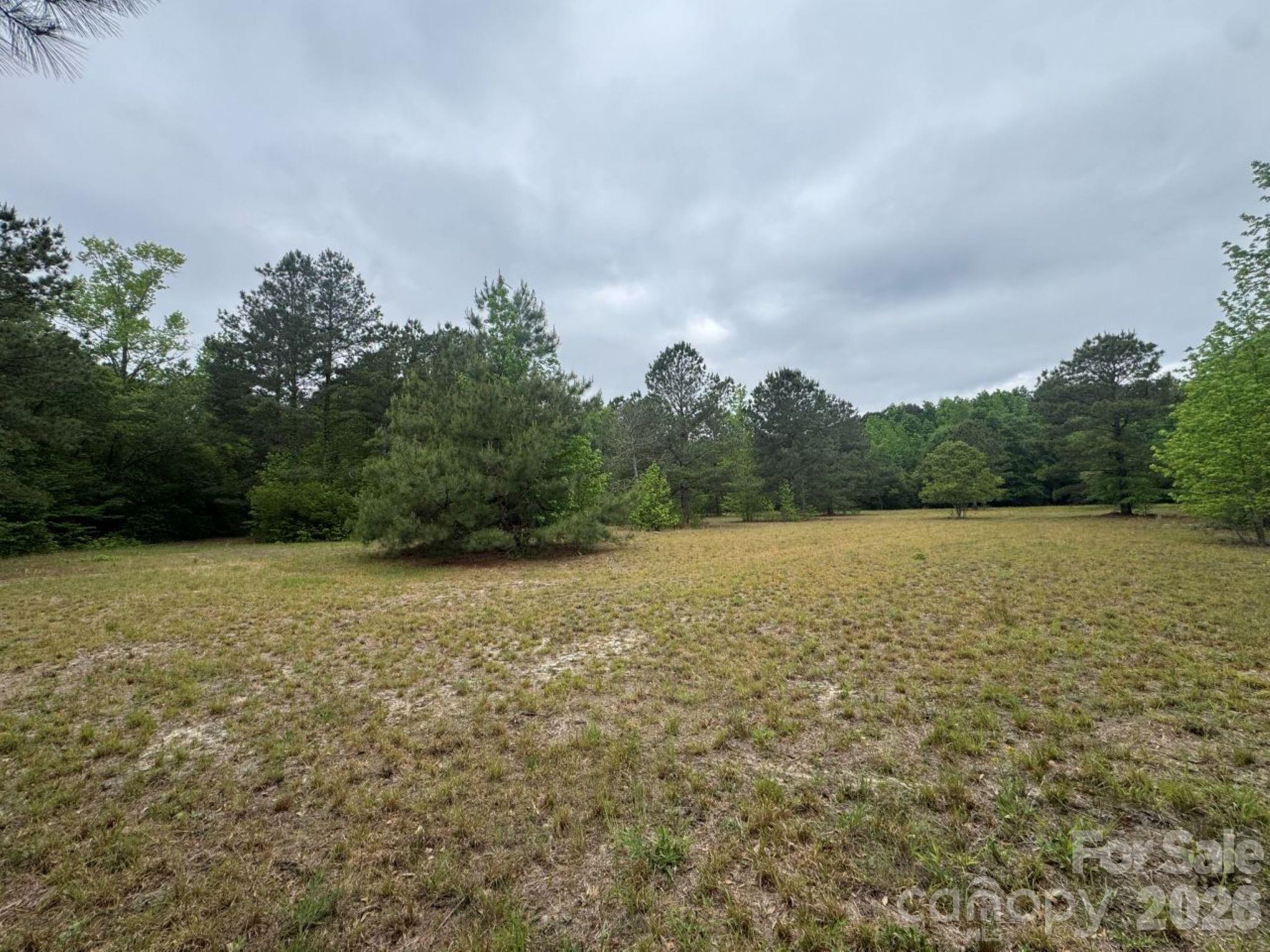 0 Daniel Chapel Road McColl, SC 29570 - Photo 18 of 34 Gallery Image 18