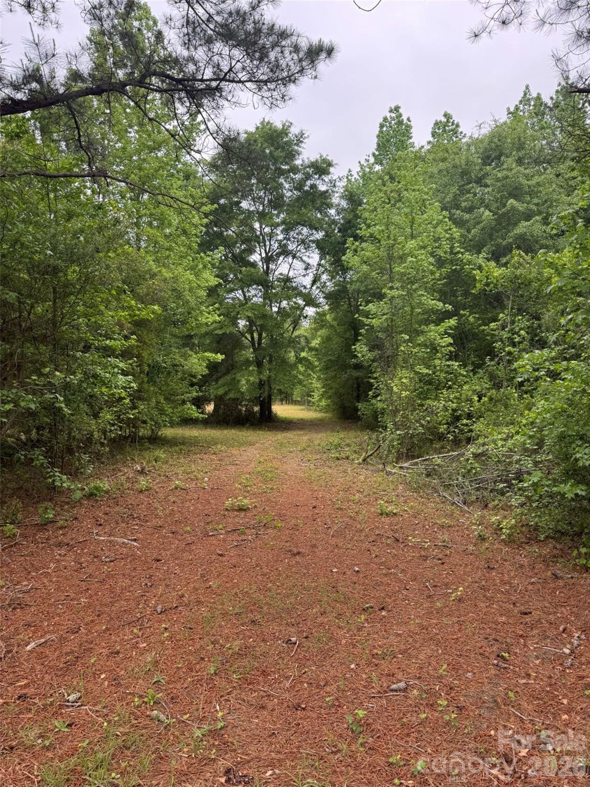 0 Daniel Chapel Road McColl, SC 29570 - Photo 19 of 34 Gallery Image 19