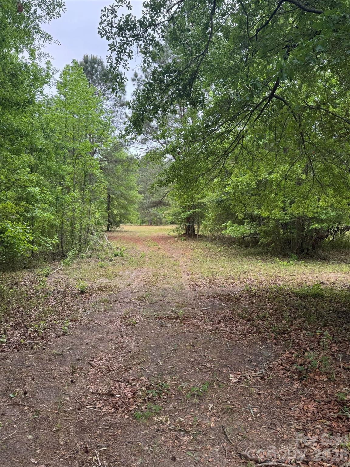 0 Daniel Chapel Road McColl, SC 29570 - Photo 20 of 34 Gallery Image 20