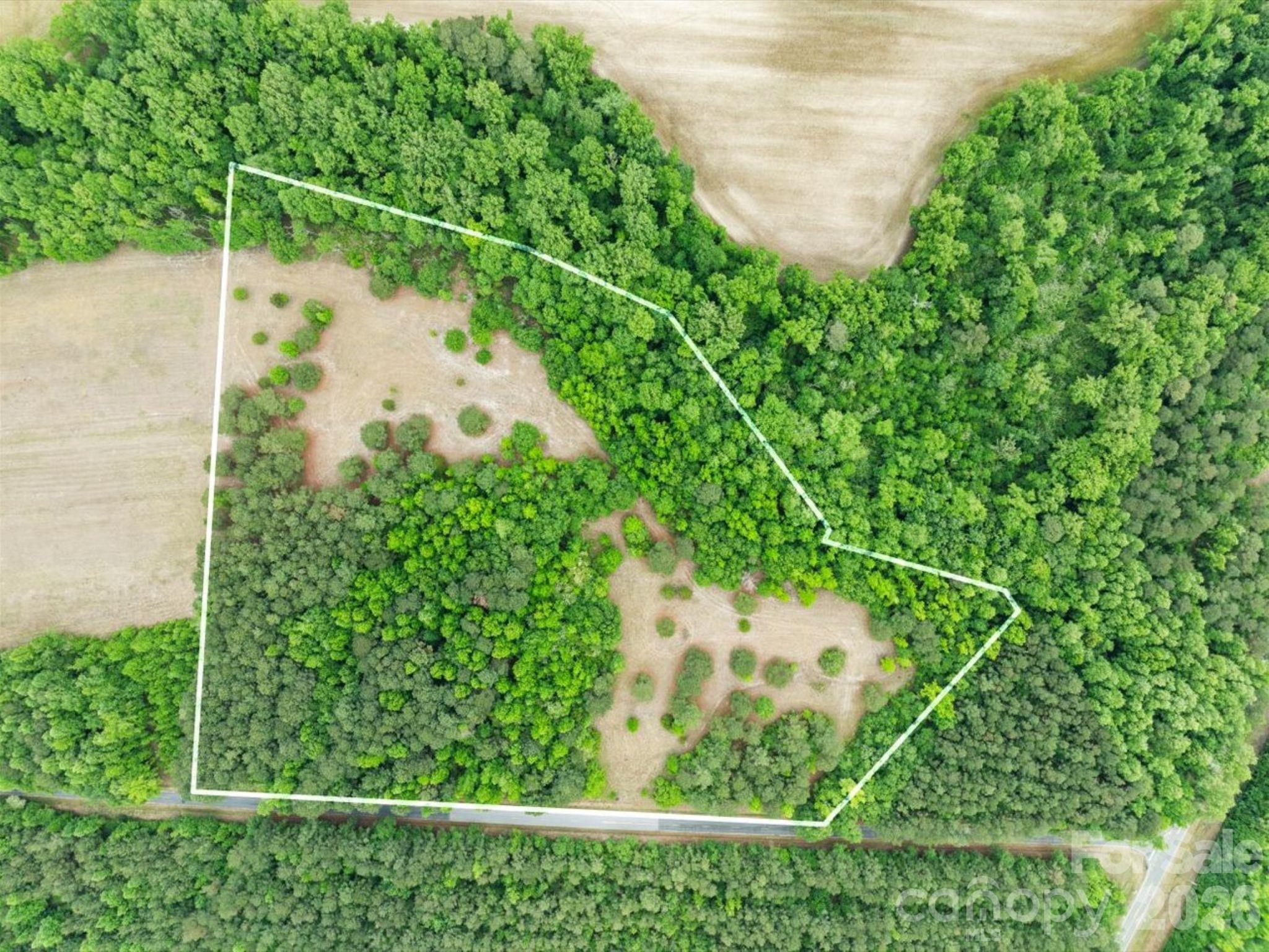 0 Daniel Chapel Road McColl, SC 29570 - Photo 2 of 34 Gallery Image 2