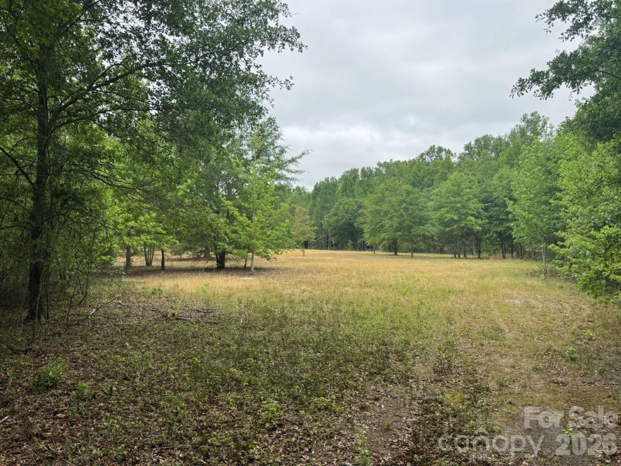 0 Daniel Chapel Road McColl, SC 29570 - Photo 21 of 34 Gallery Image 21