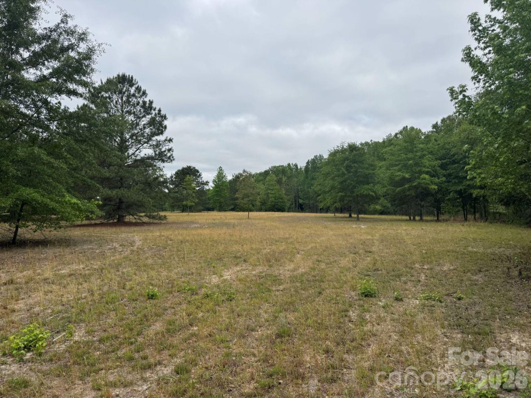 0 Daniel Chapel Road McColl, SC 29570 - Photo 22 of 34 Gallery Image 22