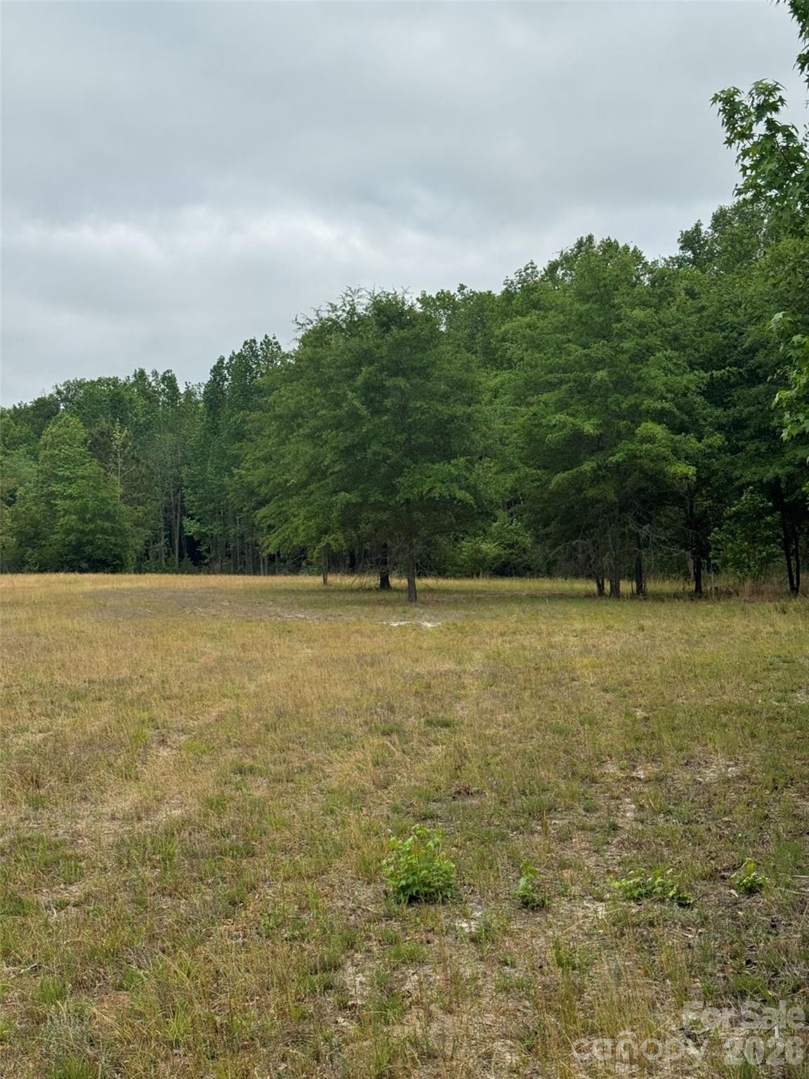 0 Daniel Chapel Road McColl, SC 29570 - Photo 23 of 34 Gallery Image 23