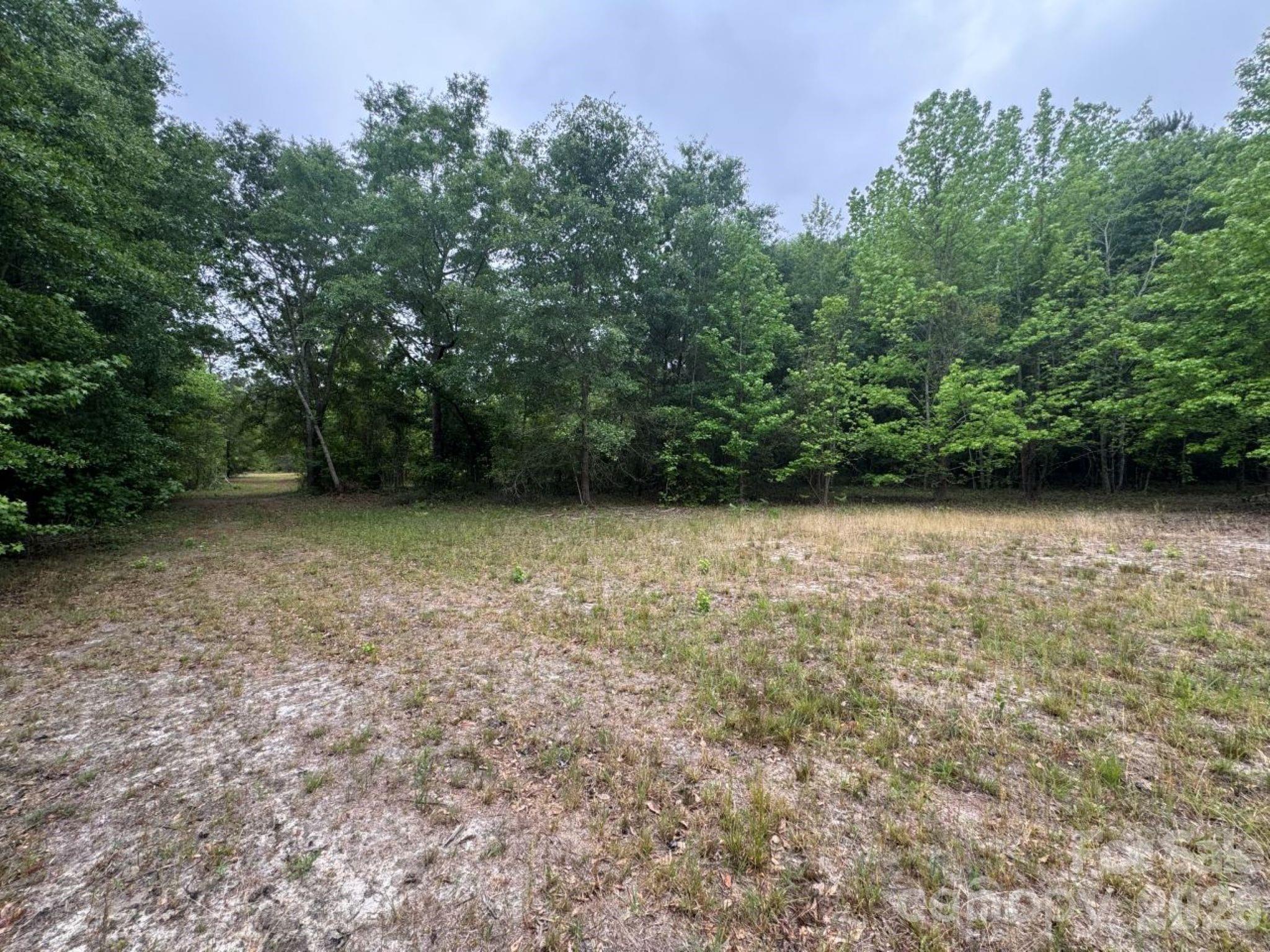 0 Daniel Chapel Road McColl, SC 29570 - Photo 24 of 34 Gallery Image 24