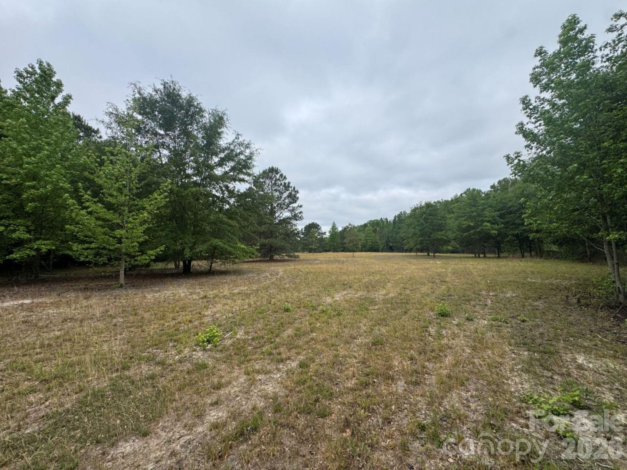 0 Daniel Chapel Road McColl, SC 29570 - Photo 25 of 34 Gallery Image 25