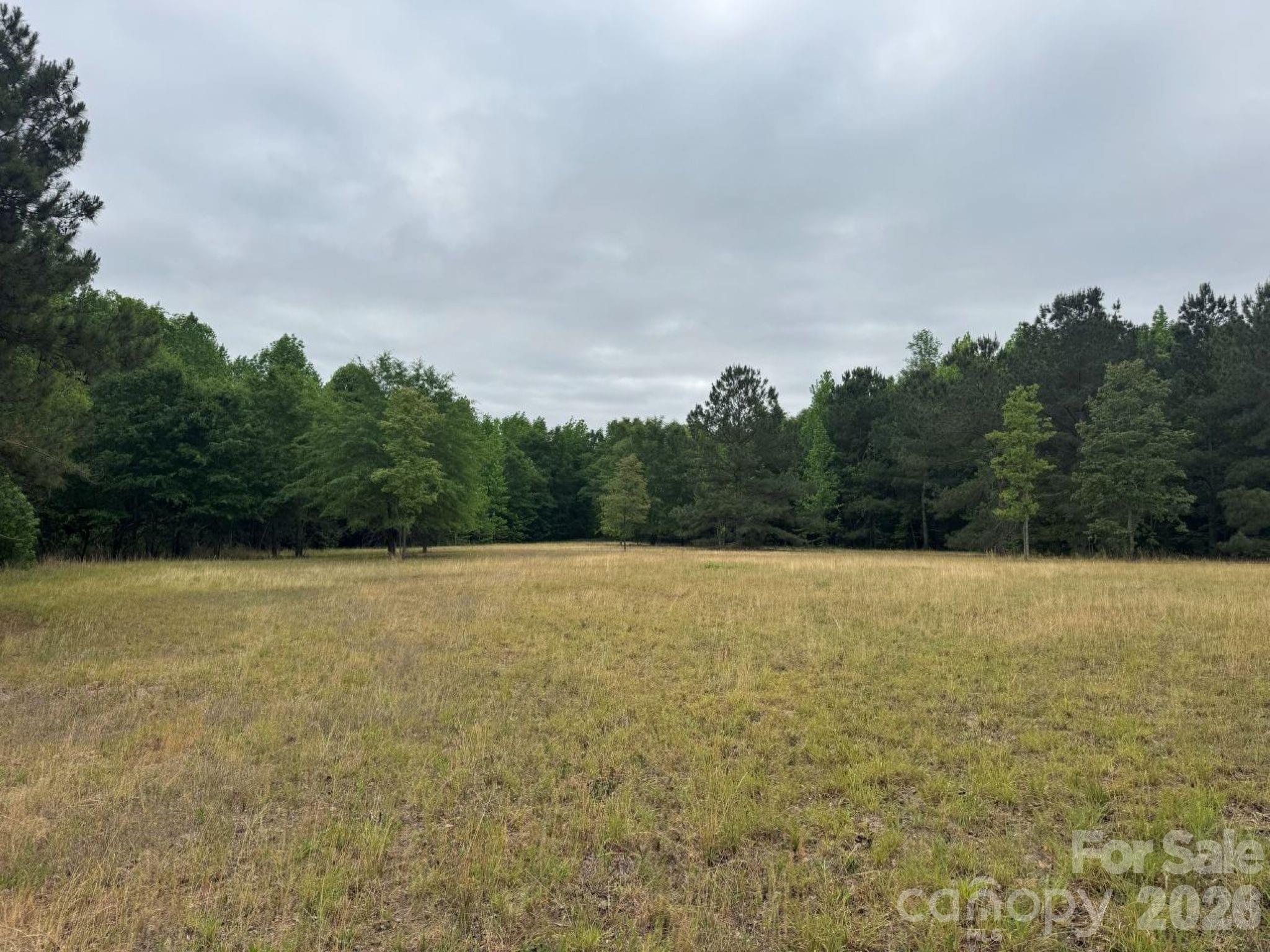 0 Daniel Chapel Road McColl, SC 29570 - Photo 26 of 34 Gallery Image 26