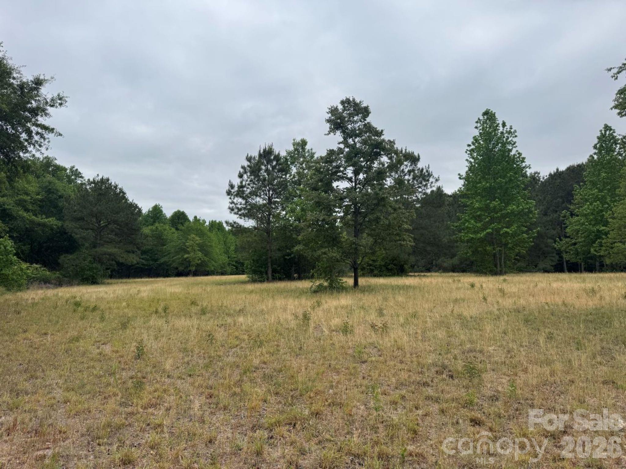 0 Daniel Chapel Road McColl, SC 29570 - Photo 28 of 34 Gallery Image 28