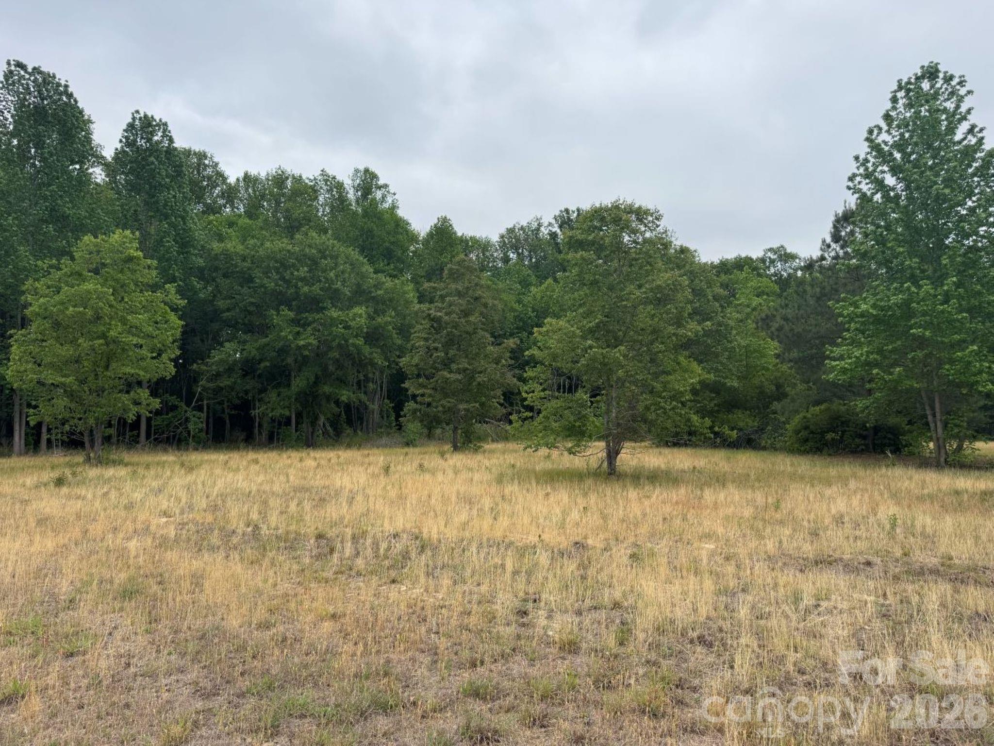0 Daniel Chapel Road McColl, SC 29570 - Photo 29 of 34 Gallery Image 29