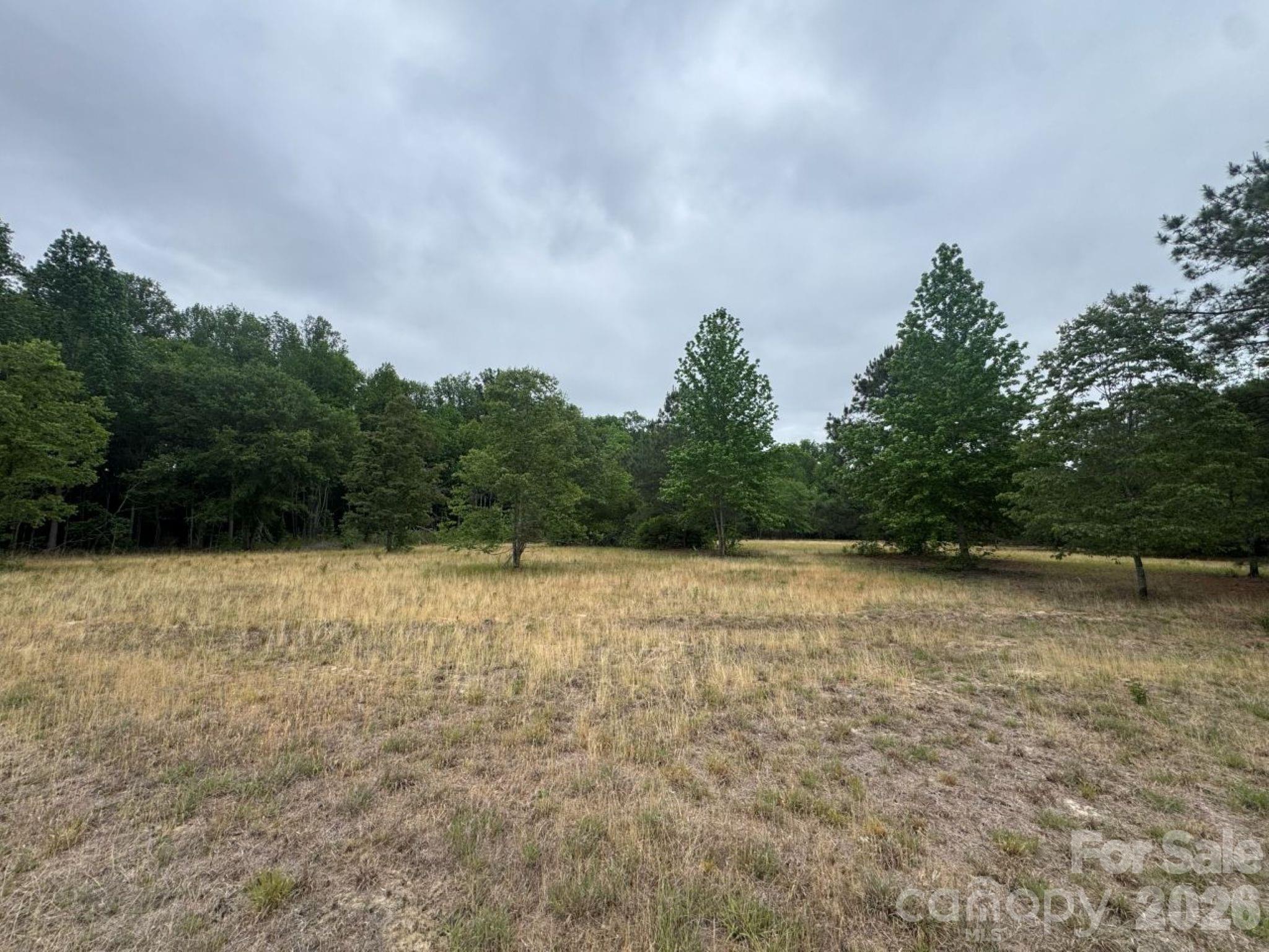 0 Daniel Chapel Road McColl, SC 29570 - Photo 30 of 34 Gallery Image 30