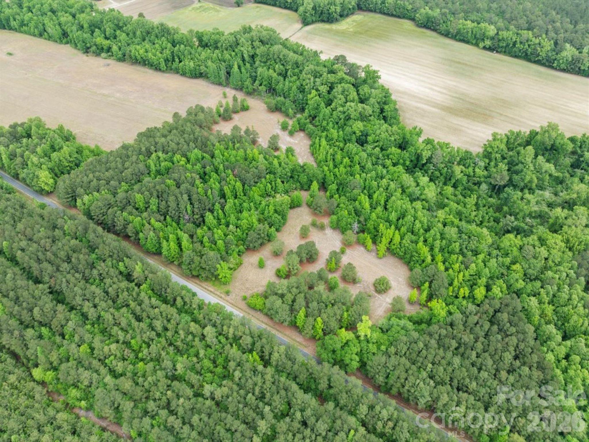 0 Daniel Chapel Road McColl, SC 29570 - Photo 3 of 34 Gallery Image 3