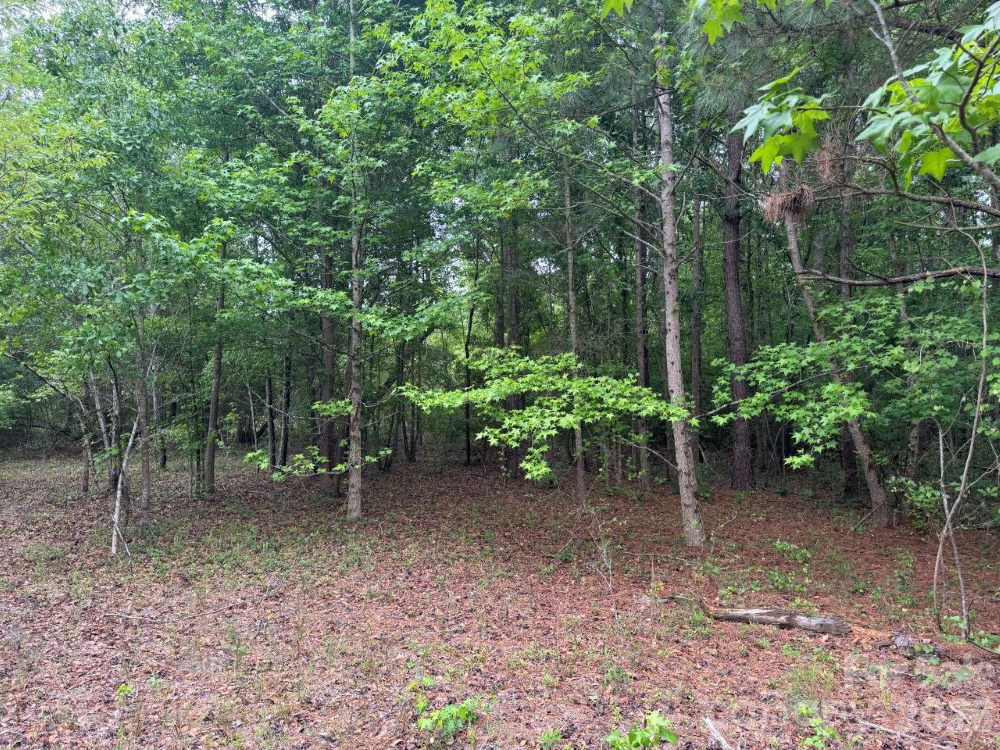 0 Daniel Chapel Road McColl, SC 29570 - Photo 32 of 34 Gallery Image 32