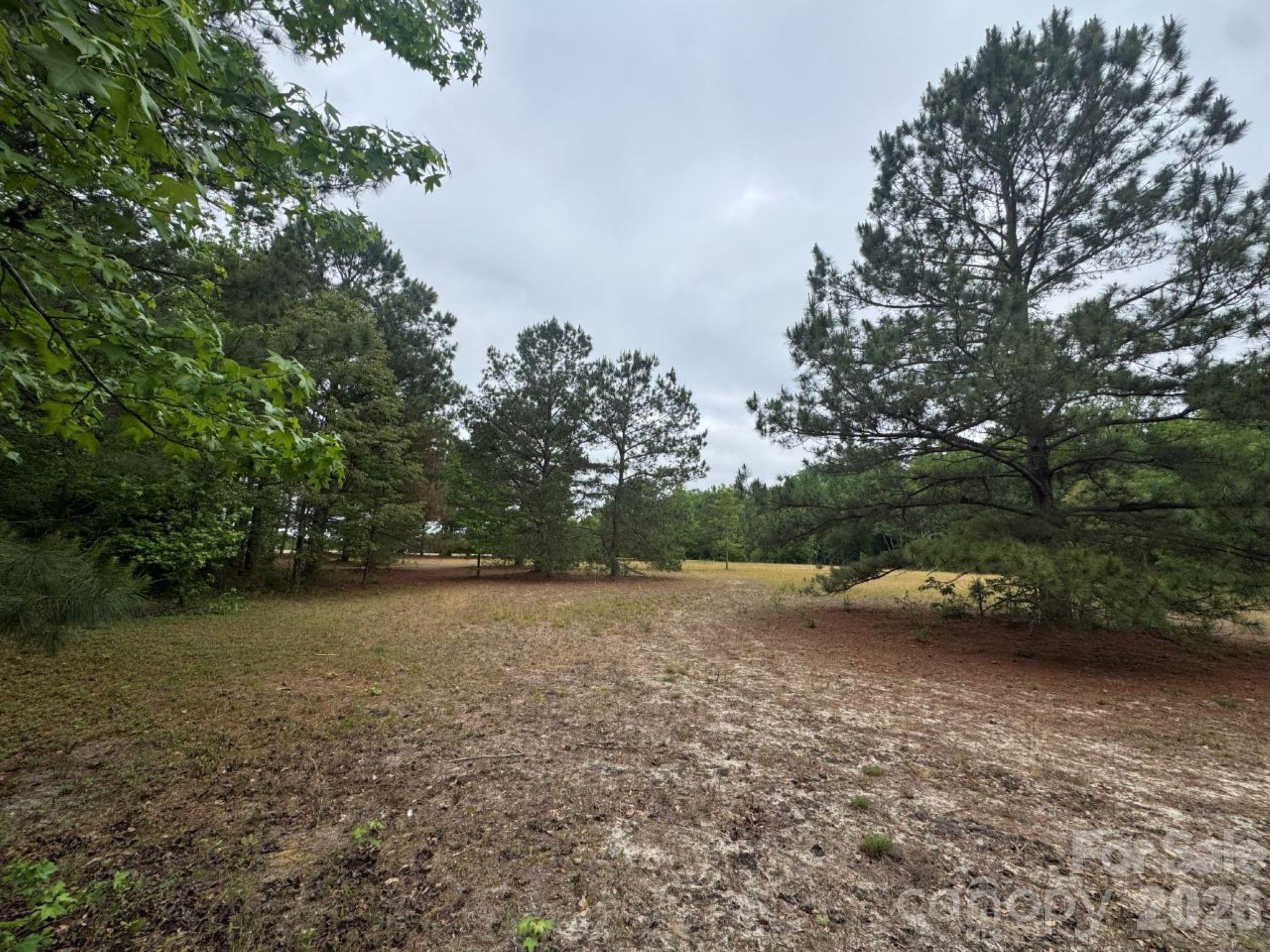 0 Daniel Chapel Road McColl, SC 29570 - Photo 34 of 34 Gallery Image 34