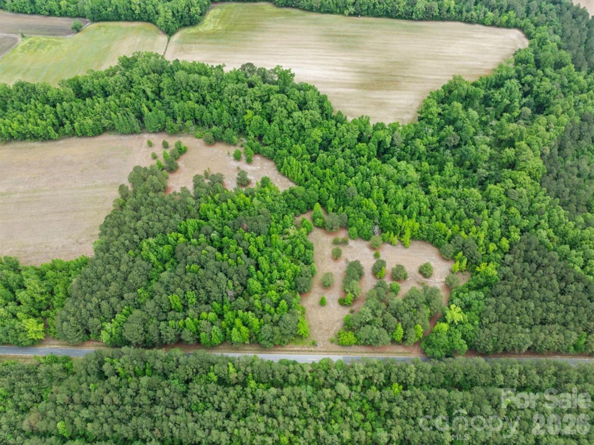 0 Daniel Chapel Road McColl, SC 29570 - Photo 4 of 34 Gallery Image 4