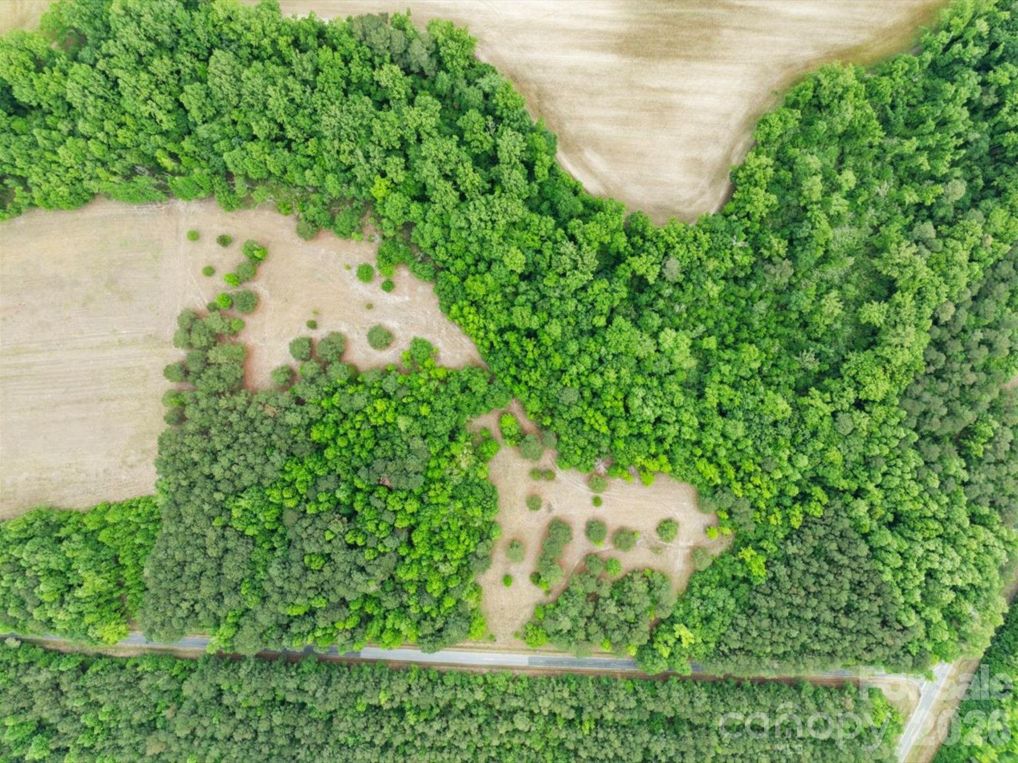 0 Daniel Chapel Road McColl, SC 29570 - Photo 5 of 34 Gallery Image 5