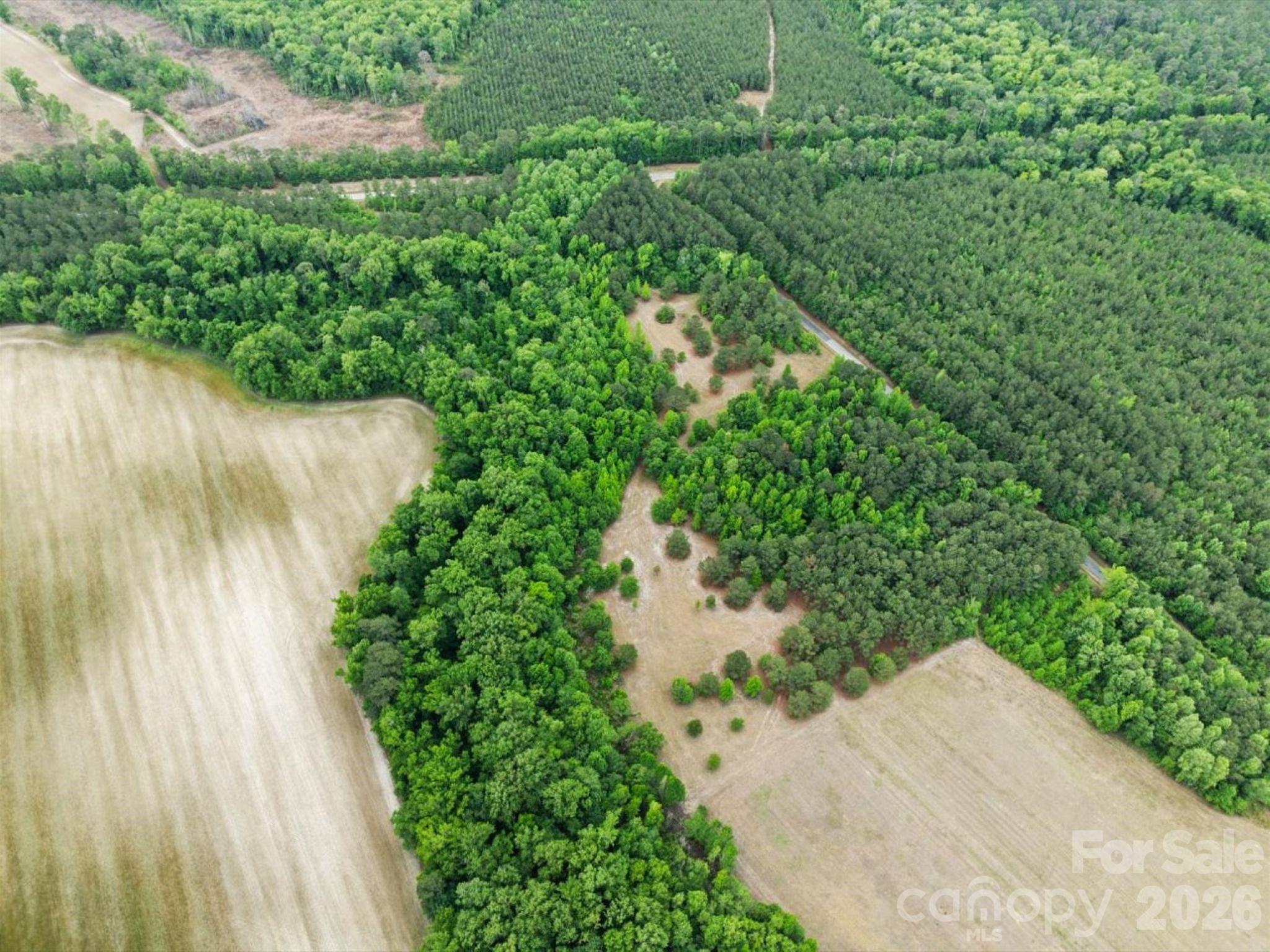 0 Daniel Chapel Road McColl, SC 29570 - Photo 6 of 34 Gallery Image 6