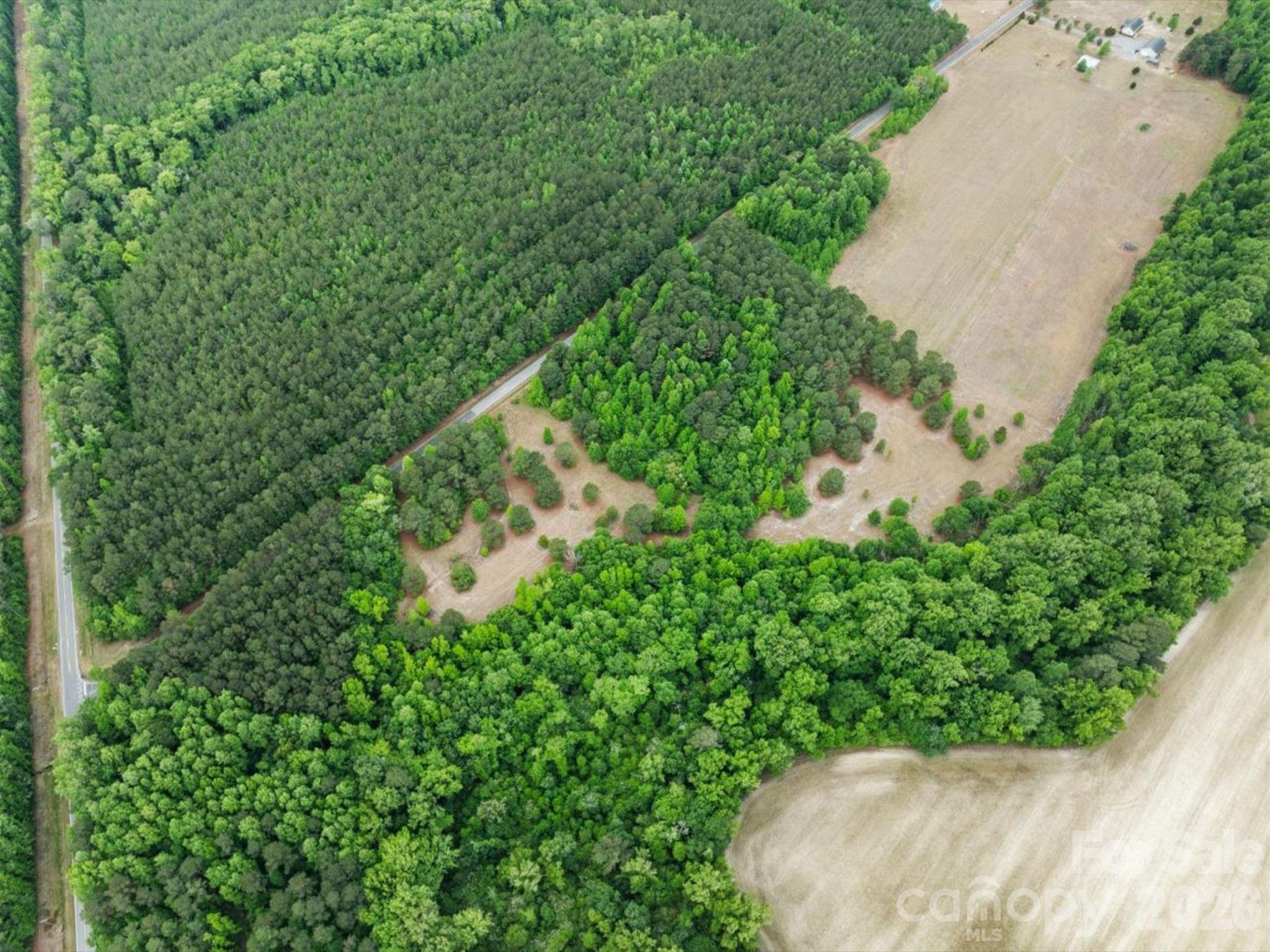 0 Daniel Chapel Road McColl, SC 29570 - Photo 8 of 34 Gallery Image 8