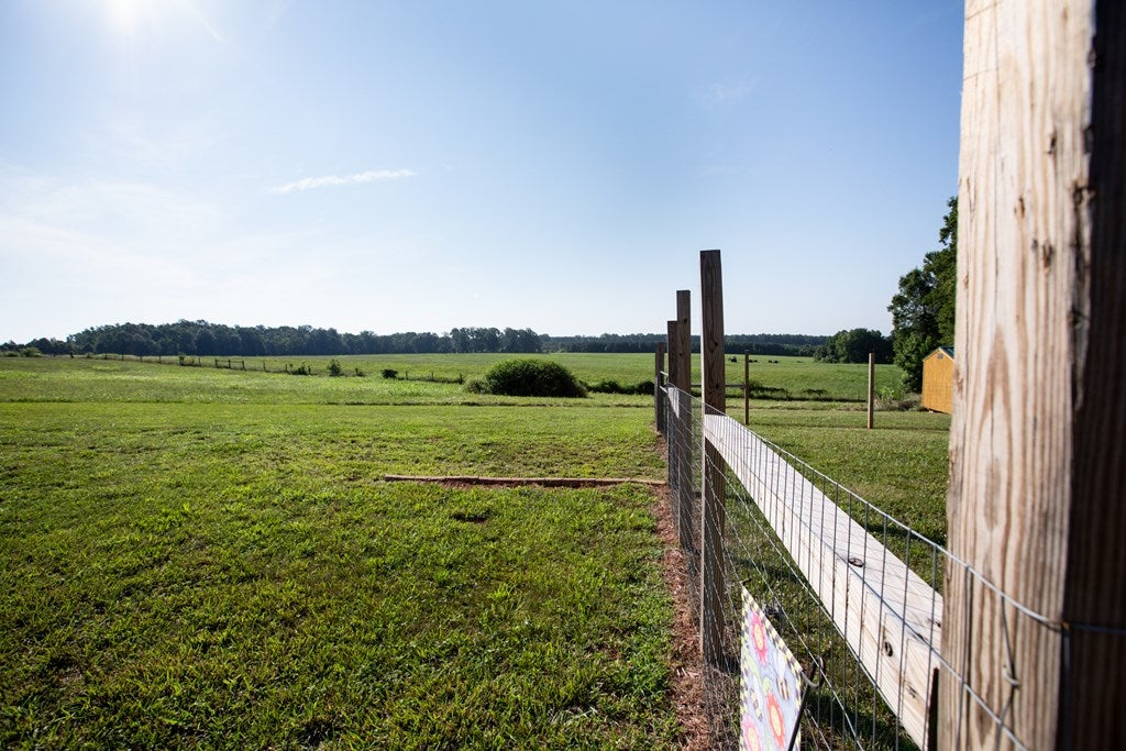 2371 Spg Crk Road Cullen, VA 23934 - Photo 57 of 60 Gallery Image 57