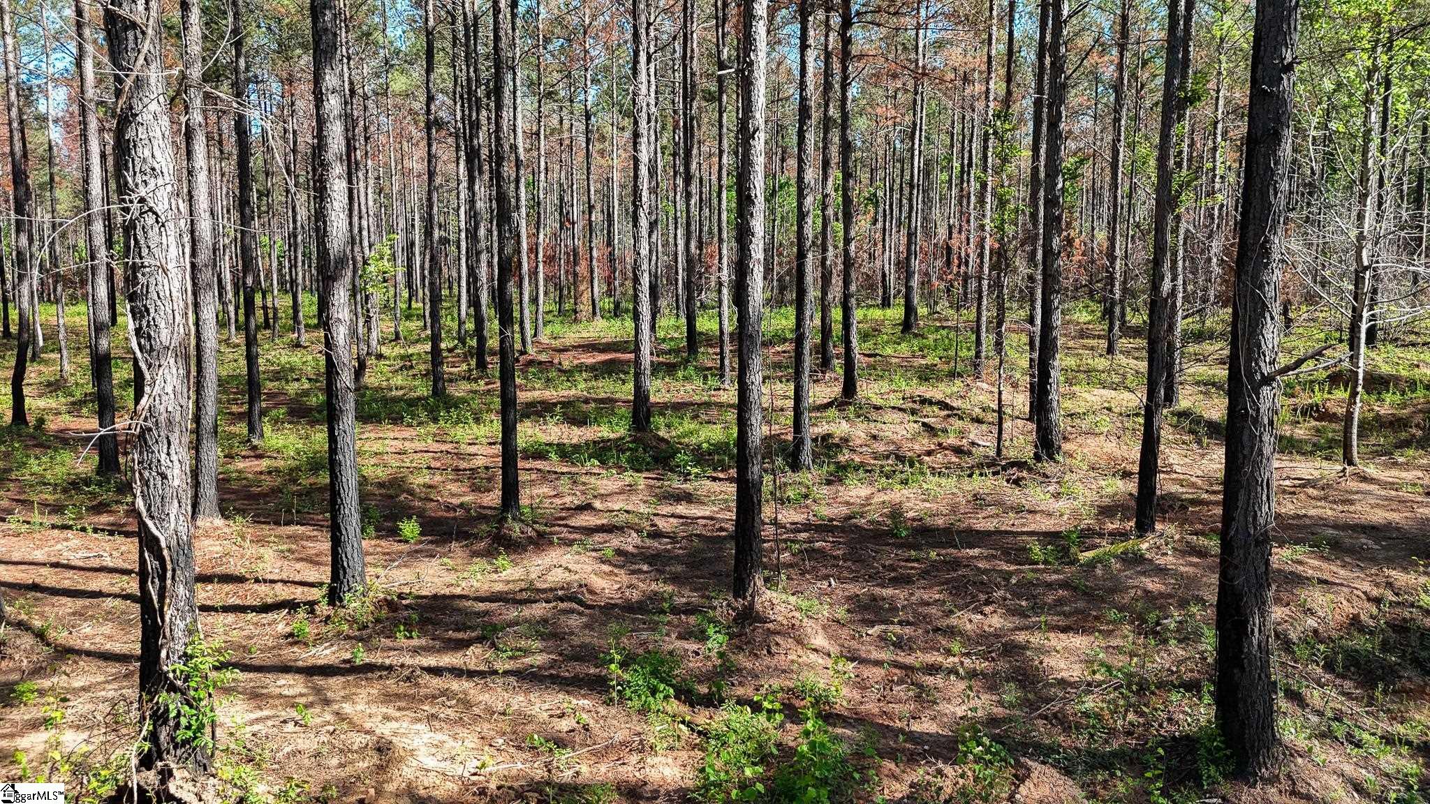 2 Lisbon Road, Unit LOT 2 Mountville, SC 29370 - Photo 14 of 27