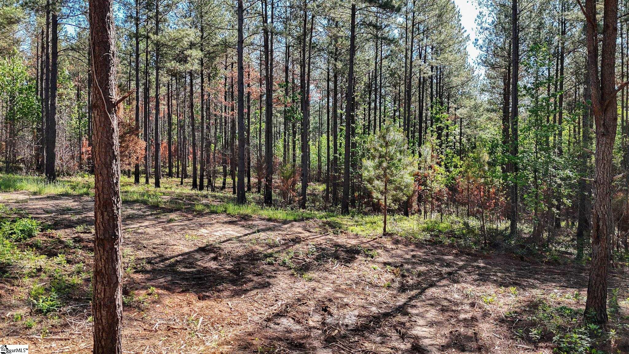 2 Lisbon Road, Unit LOT 2 Mountville, SC 29370 - Photo 17 of 27