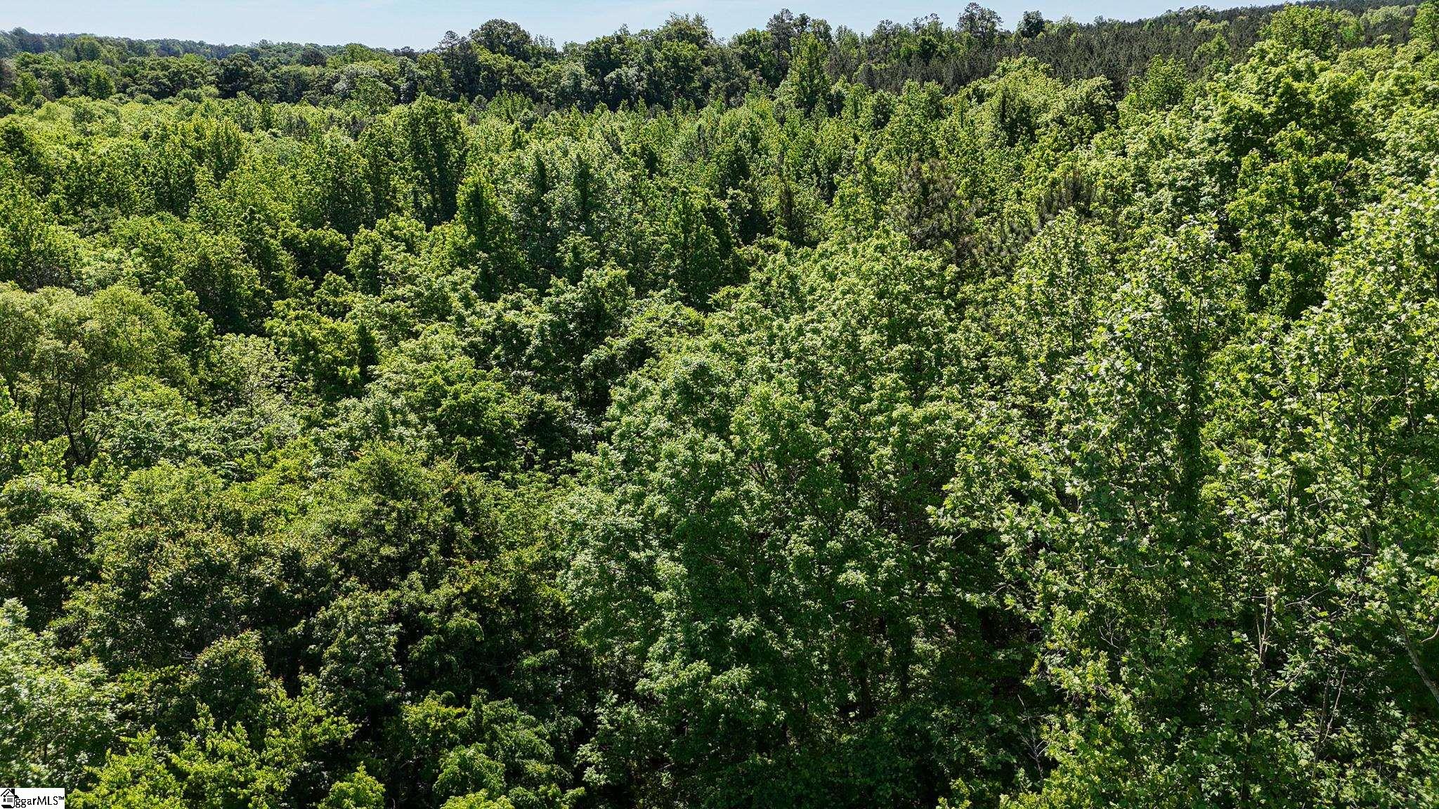 2 Lisbon Road, Unit LOT 2 Mountville, SC 29370 - Photo 22 of 27