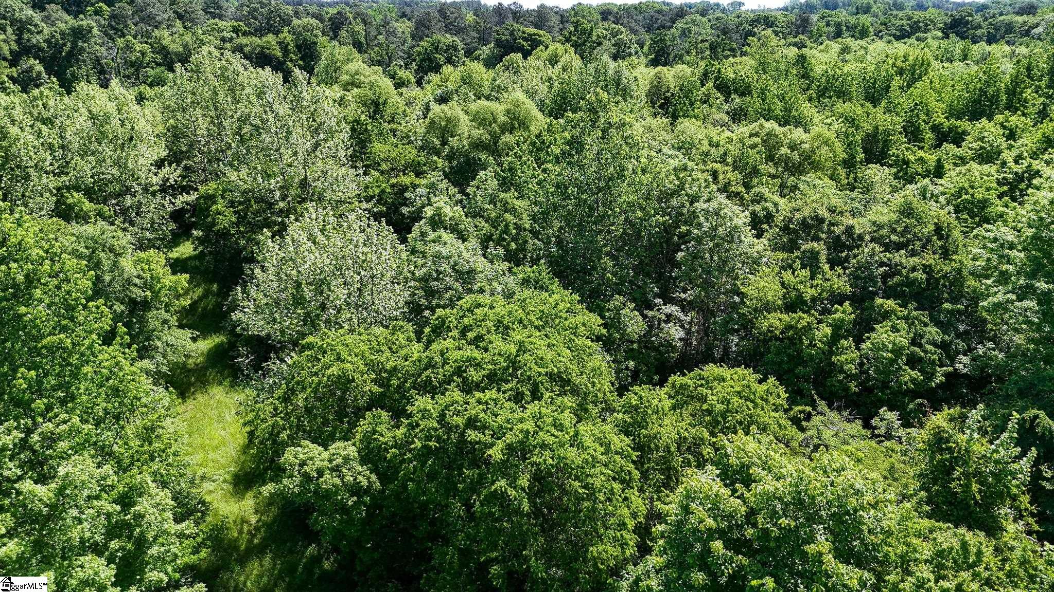 2 Lisbon Road, Unit LOT 2 Mountville, SC 29370 - Photo 23 of 27