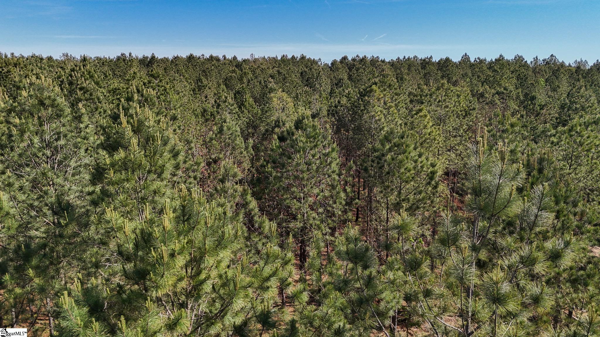 2 Lisbon Road, Unit LOT 2 Mountville, SC 29370 - Photo 25 of 27