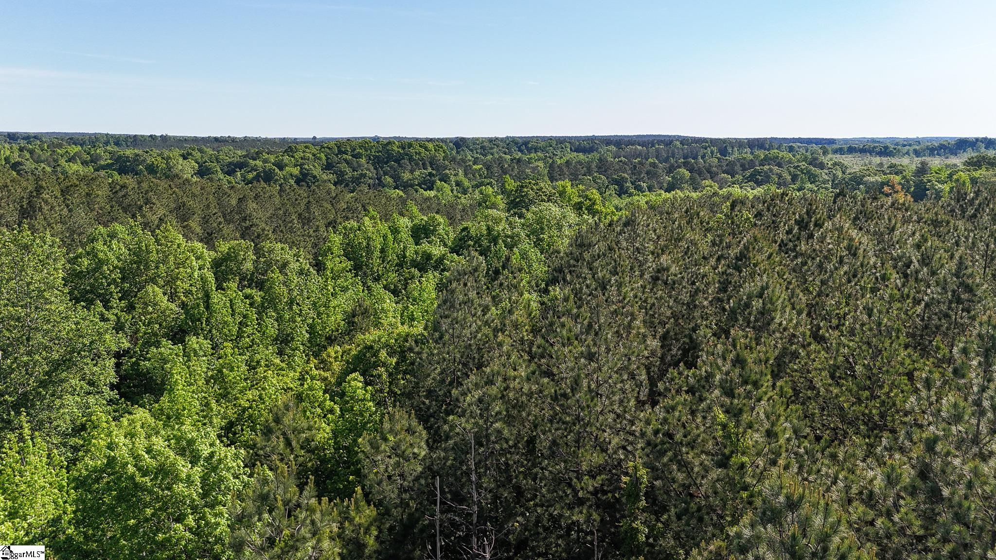 2 Lisbon Road, Unit LOT 2 Mountville, SC 29370 - Photo 26 of 27