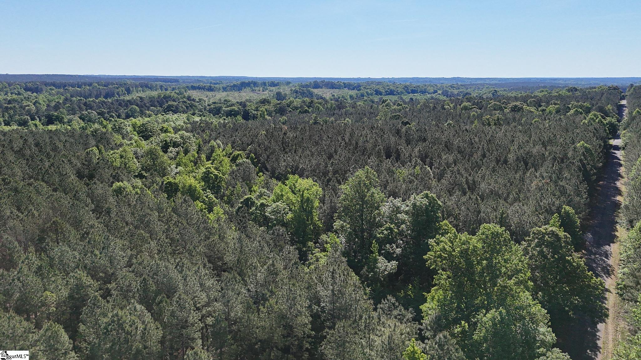 2 Lisbon Road, Unit LOT 2 Mountville, SC 29370 - Photo 27 of 27
