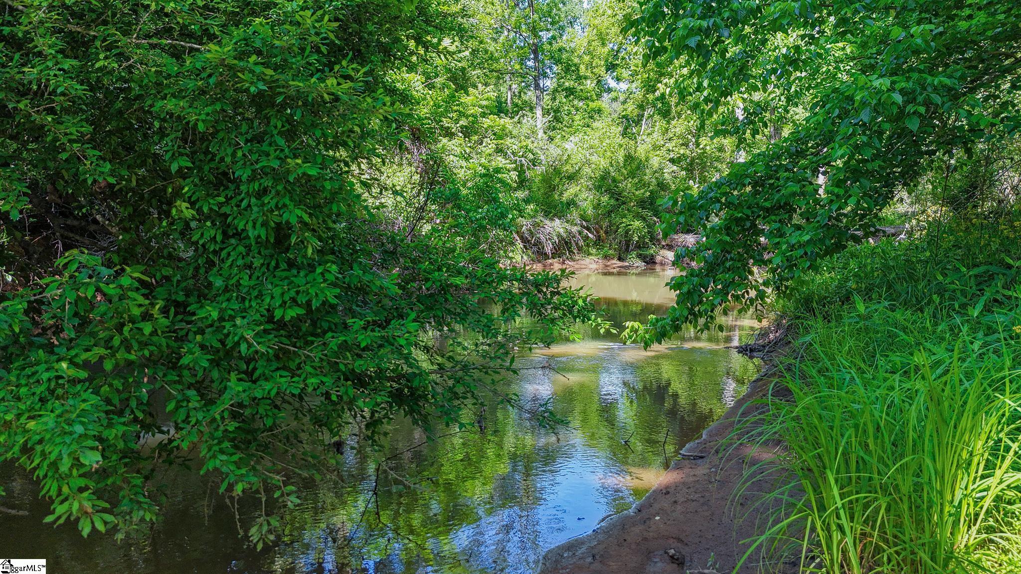 2 Lisbon Road, Unit LOT 2 Mountville, SC 29370 - Photo 4 of 27