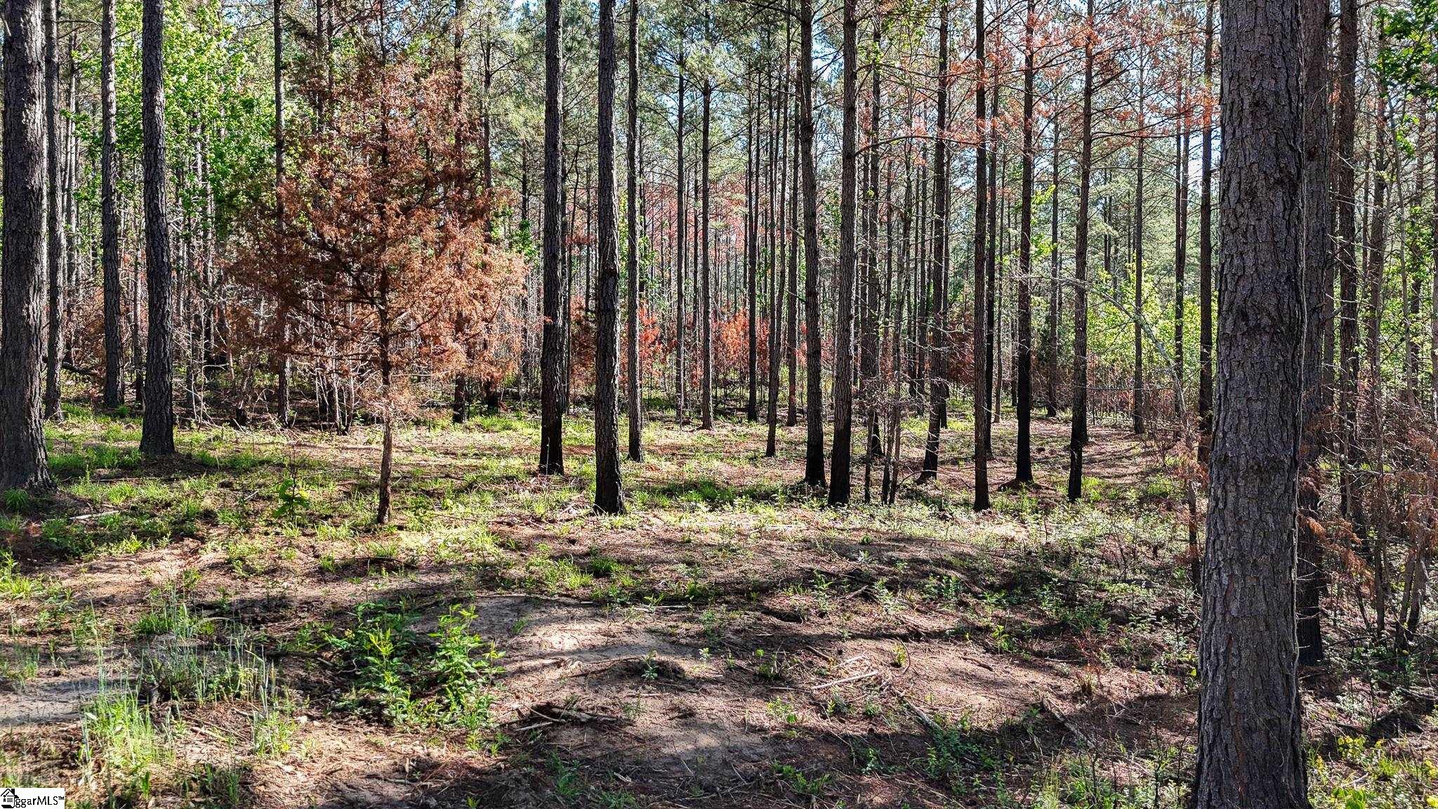 2 Lisbon Road, Unit LOT 2 Mountville, SC 29370 - Photo 7 of 27