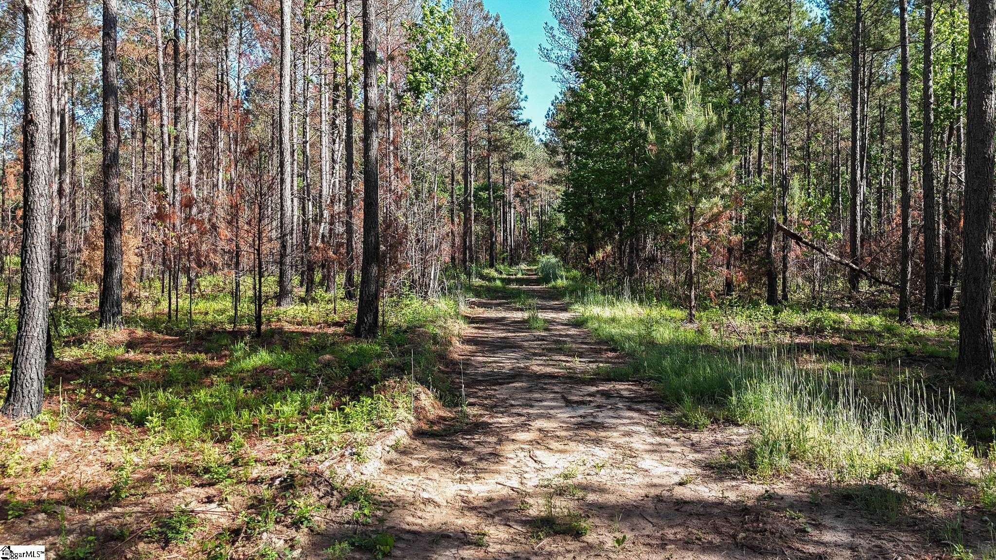 2 Lisbon Road, Unit LOT 2 Mountville, SC 29370 - Photo 10 of 27
