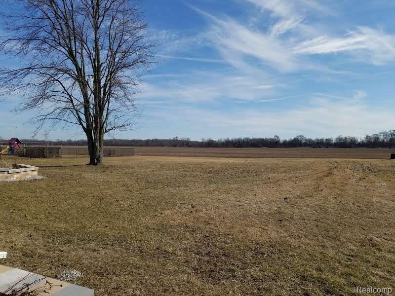 4892 Willow Road Milan, MI 48160 - Photo 14 of 22 Backyard view I.jpg