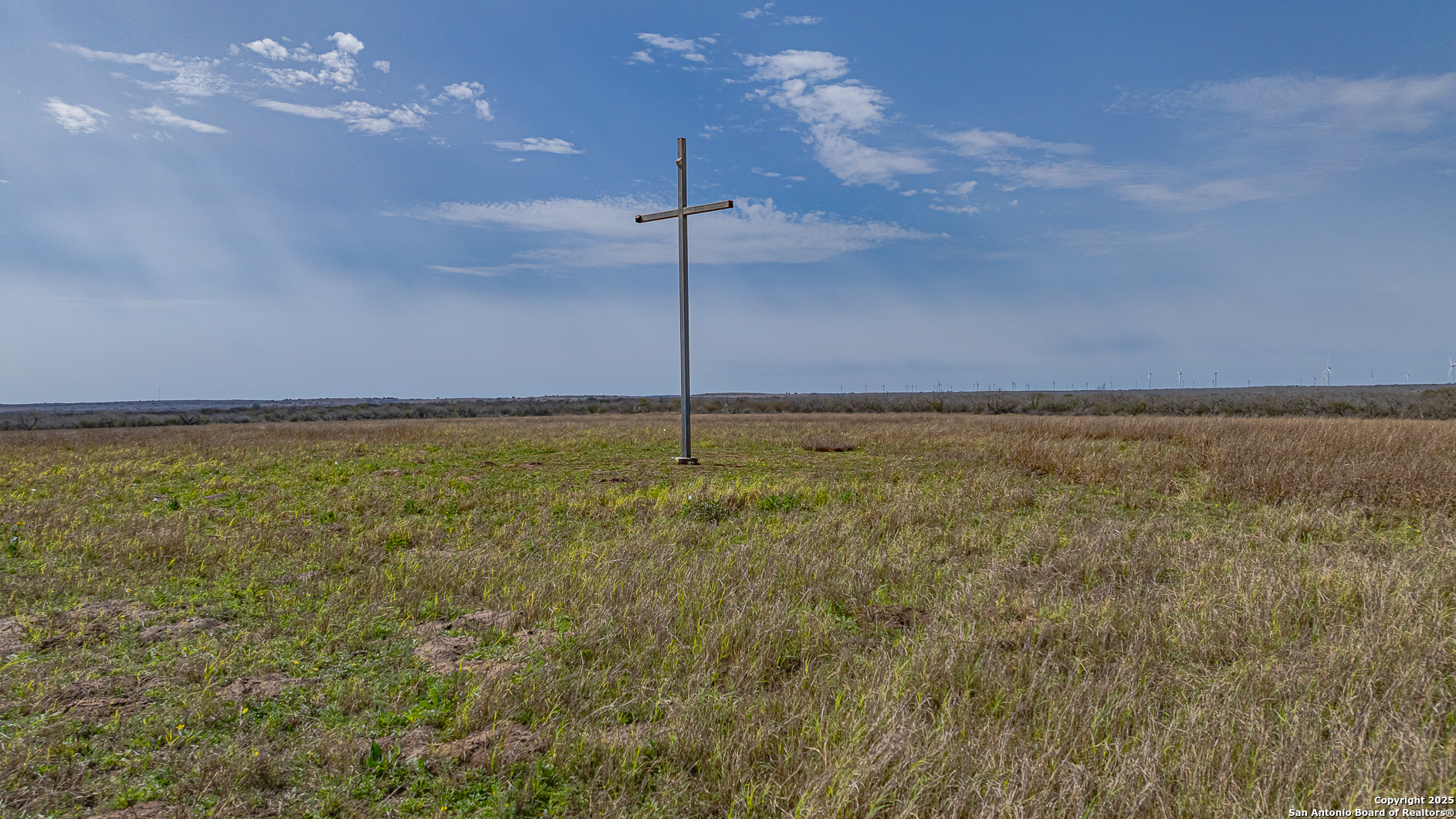 1061 County Road 156 Kenedy, TX 78119 - Photo 17 of 34 a view of a swimming pool and an aerial view of a