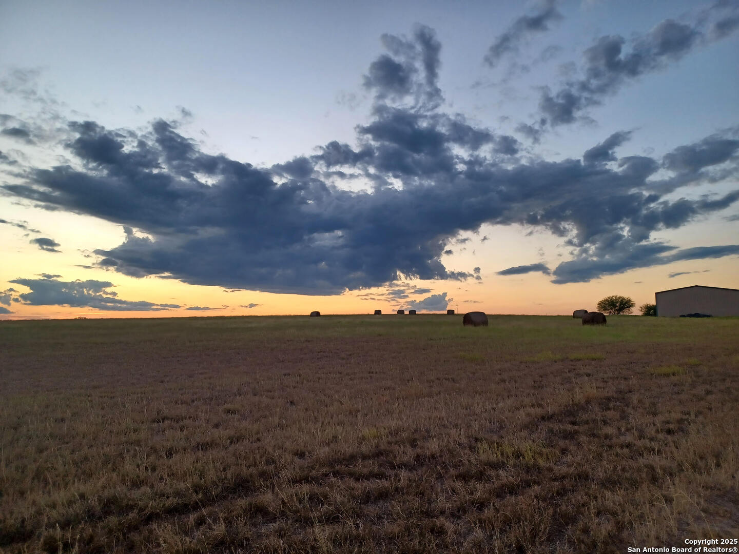 1061 County Road 156 Kenedy, TX 78119 - Photo 7 of 34