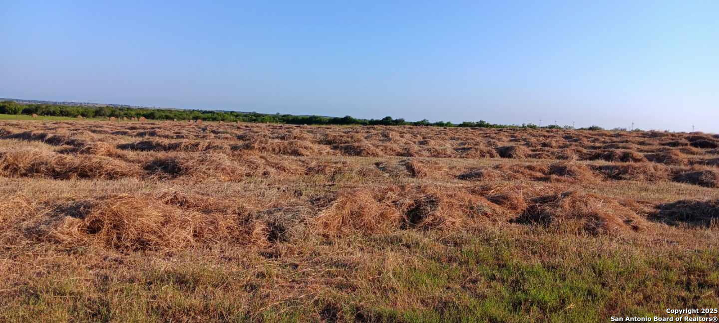 1061 County Road 156 Kenedy, TX 78119 - Photo 8 of 34