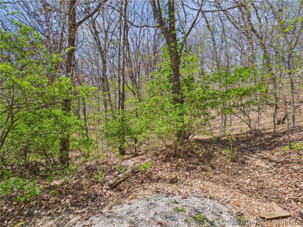5566 Bonnie Spring Valley Drive Stover, MO 65078 - Photo 48 of 59