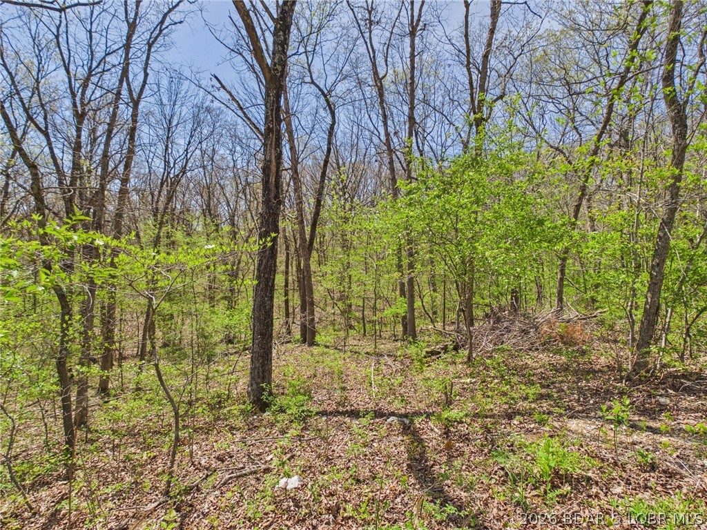 5566 Bonnie Spring Valley Drive Stover, MO 65078 - Photo 8 of 59