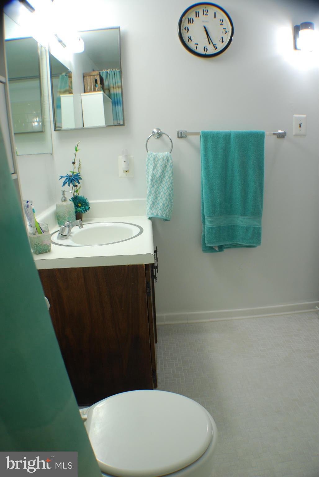 3228 Spartan Road, Unit 62 Olney, MD 20832 - Photo 15 of 19 Bath (Master)