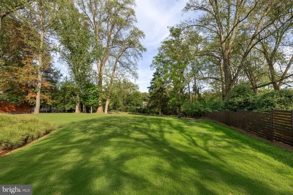 a view of a big yard with large trees