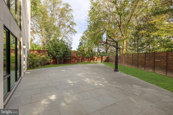 a view of a yard with plants and trees