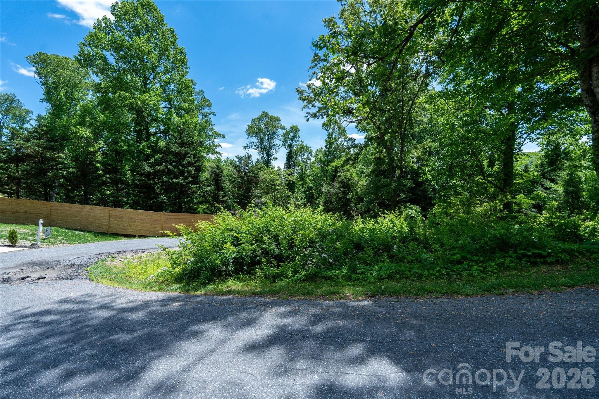 99999 Winding Ridge Road Fairview, NC 28730 - Photo 6 of 15