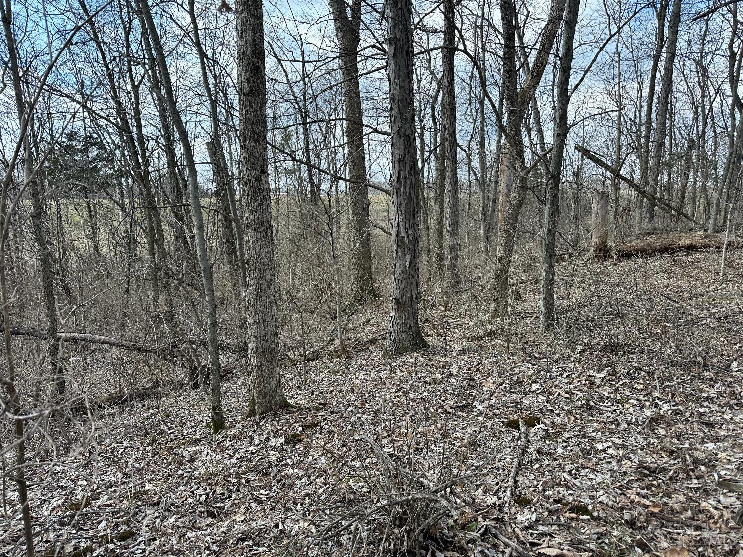 0 Wilson Road Winchester, OH 45697 - Photo 62 of 69