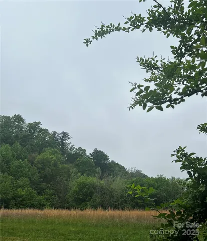 a view of a lake with a mountain in the background