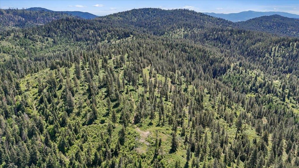 18-xxx East Miner Road Mead, WA 99021 - Photo 8 of 40