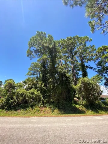 a view of a yard with flower plants and wooden fence