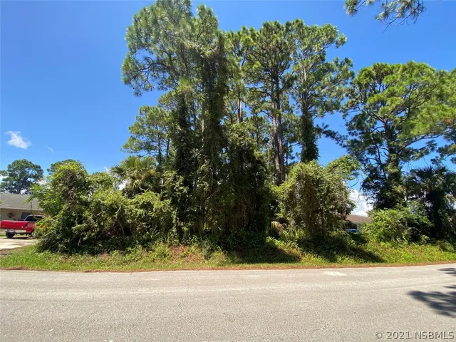 $65,000 | 0 India Palm Drive, Edgewater, FL 32141