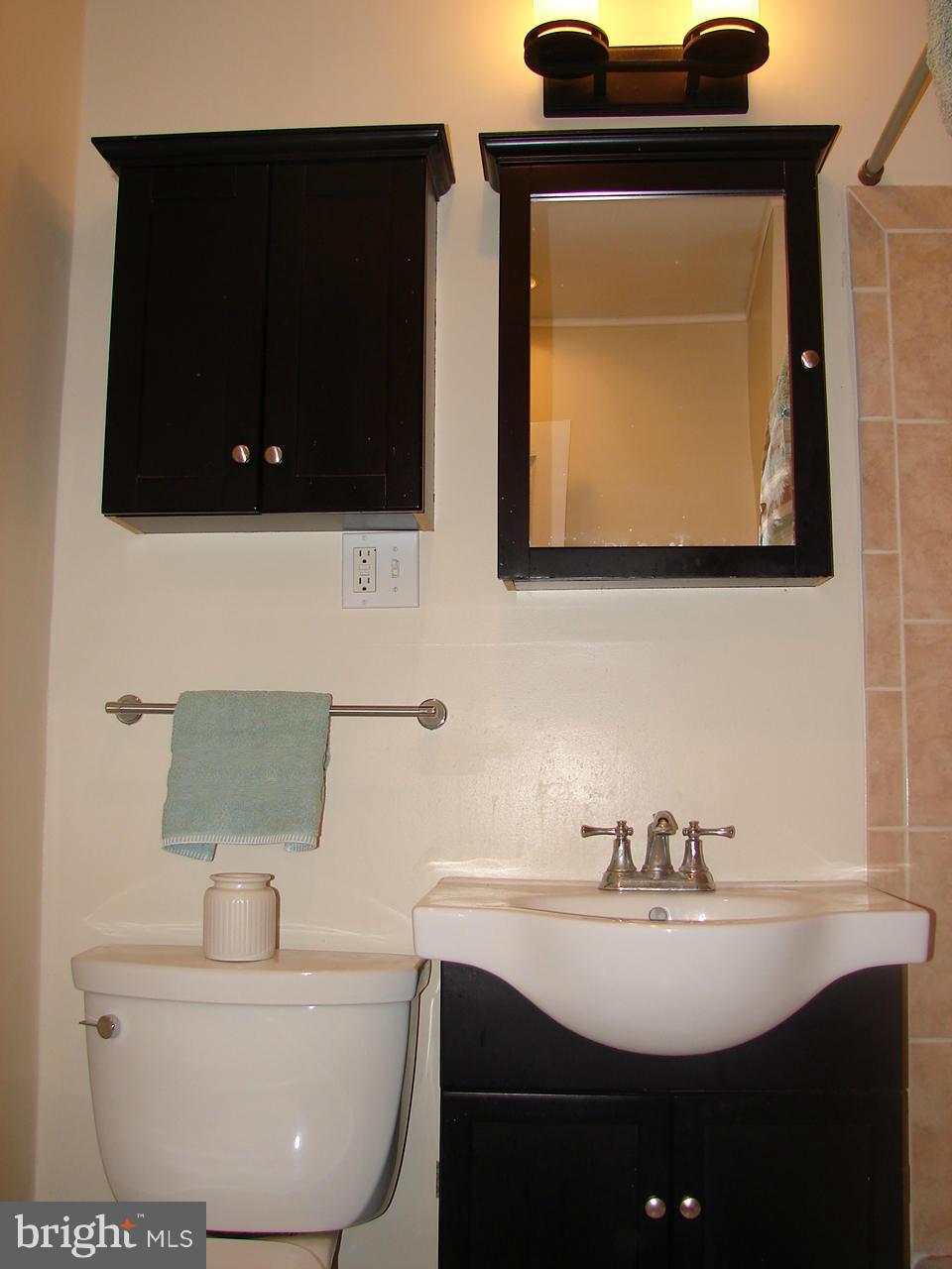 3205 Holloway Road Falls Church, VA 22042 - Photo 12 of 30 a bathroom with a sink a mirror and bathtub